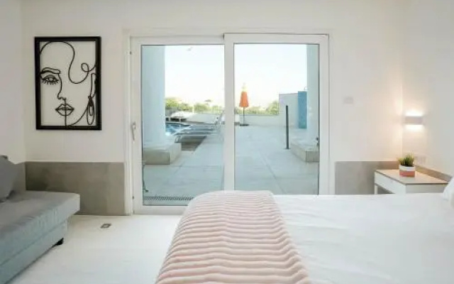 C Suite