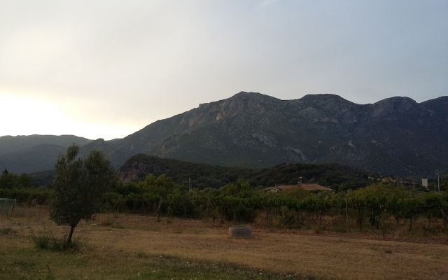 Agriturismo Sogno Latino