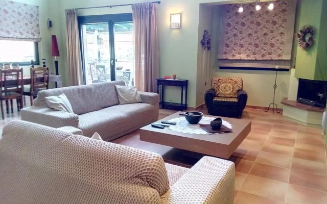 Vicente studio