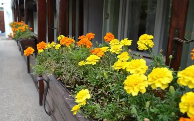 Cafe-Restaurant Pension Slimacka