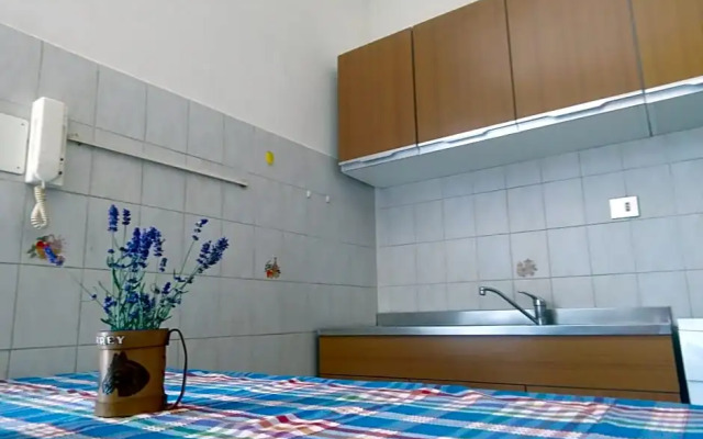 B&B Bertaina Mauro