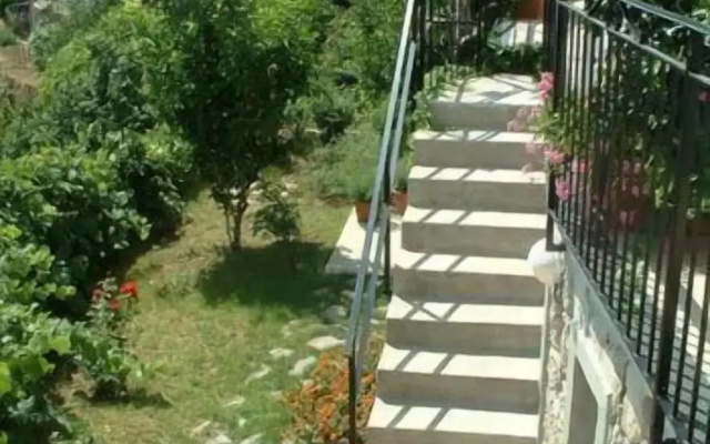 Il Giardino Dei Limoni