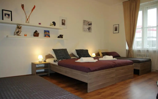 Spacious Prague View Apartment