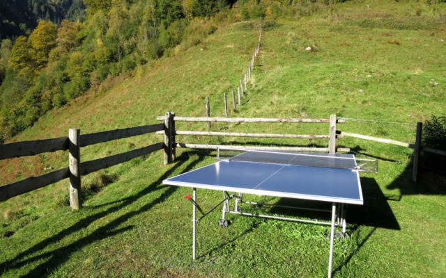 Sturmbachhutte (UTD110)