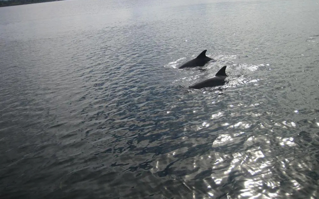 Laguna Azul Eco Boutique Hotel - Full Board