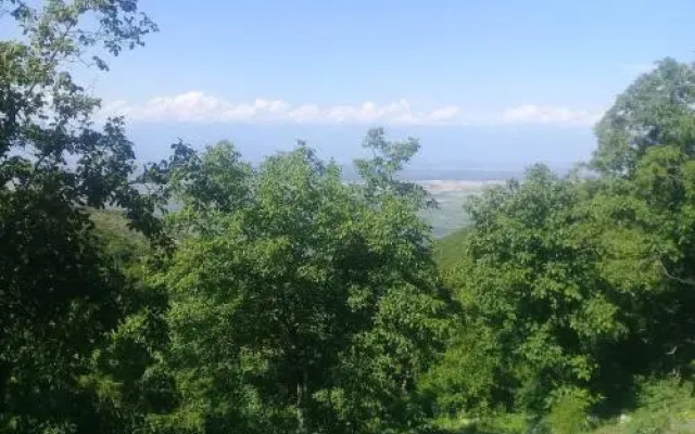 Guest House Pano