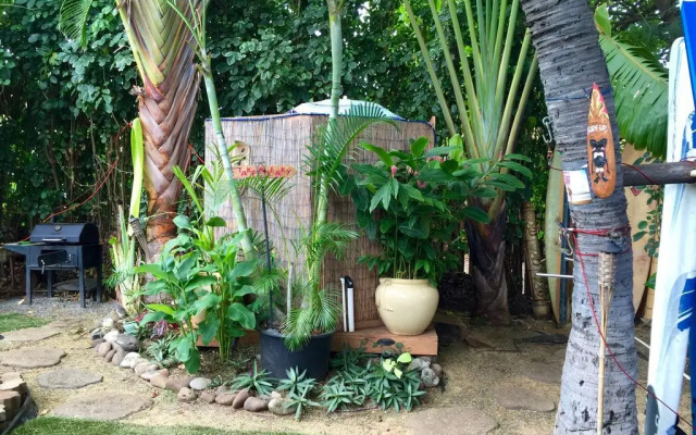 The Tiki Hale Hostel