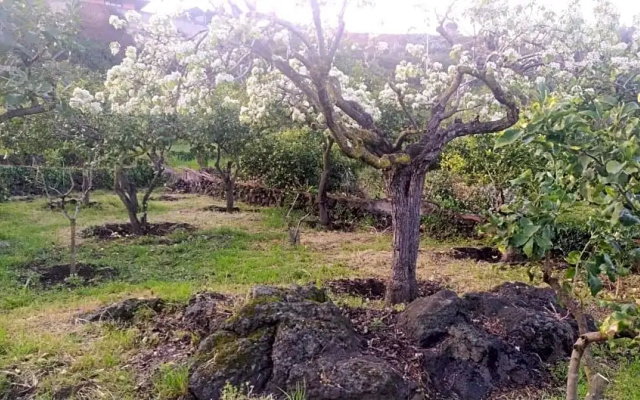 Il Giardino di Galatea