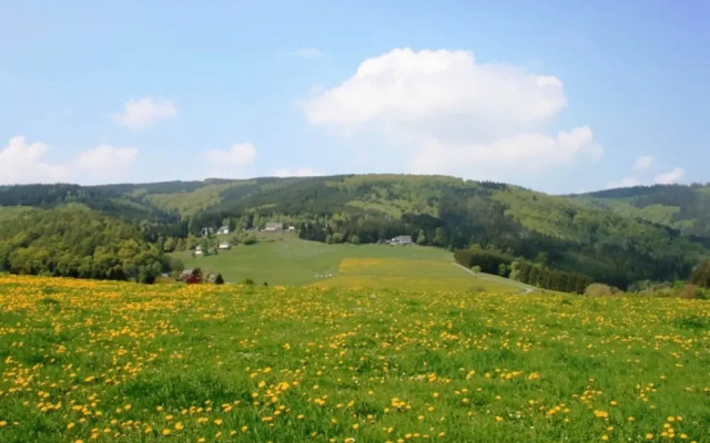 Apartment in Willingen Near Ski Slopes