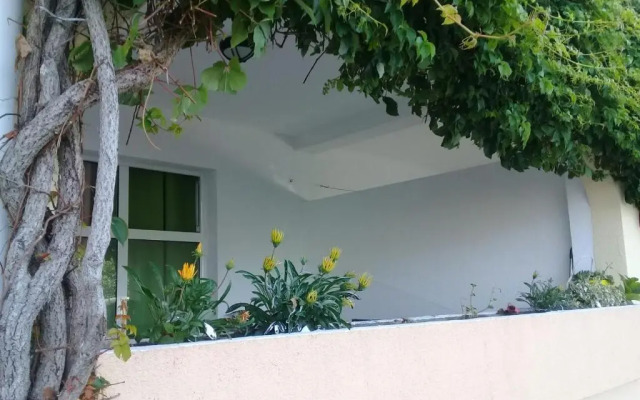 Montenegrina Apartment