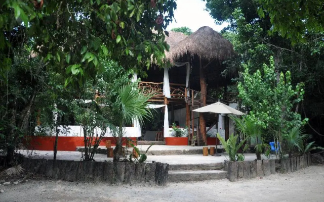 Jolie Jungle