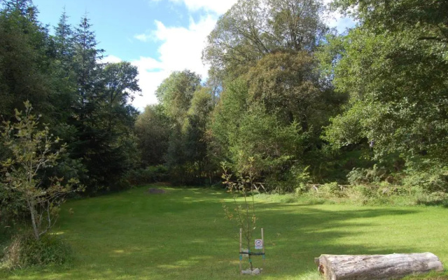 Cosy Rowan woodland lodge no3