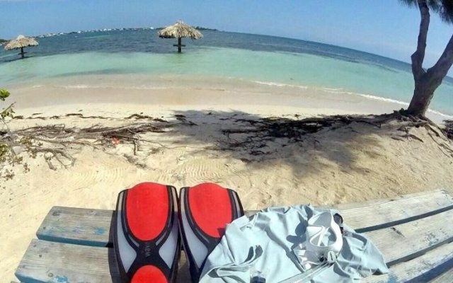 The Venue - Utila