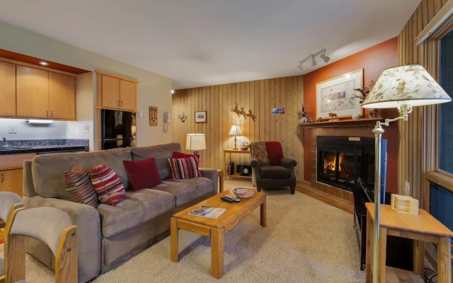 Ski House 161