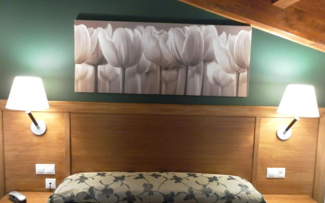 Hotel Milagros Rio Riaza