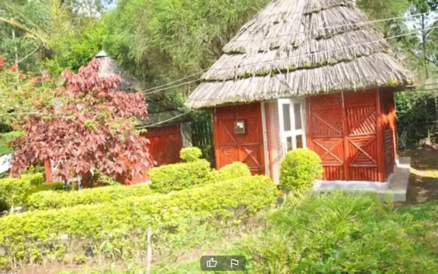 Jt Cottages