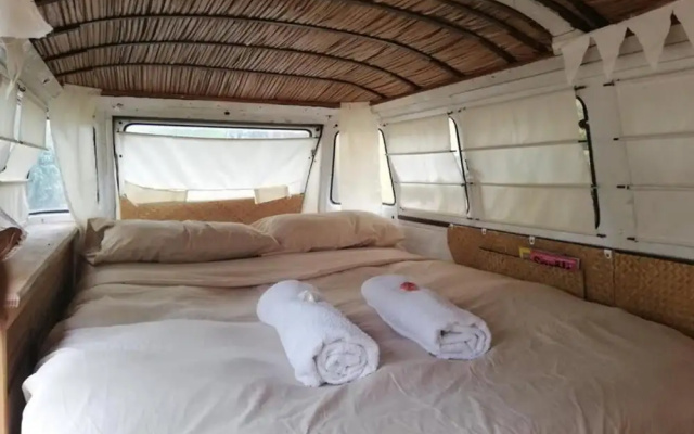 Caracolito Hostal - Hostel