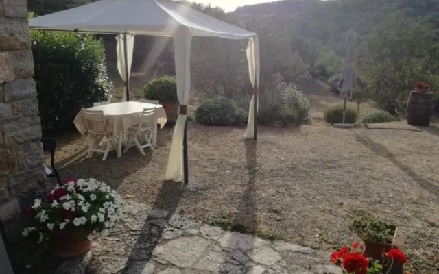 Massimo House