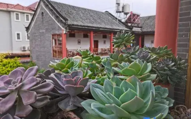 MangShi LiangJin homestay
