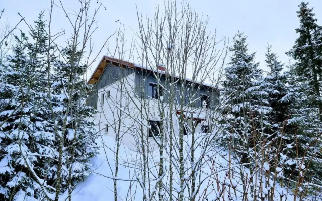 Le cerf-volant