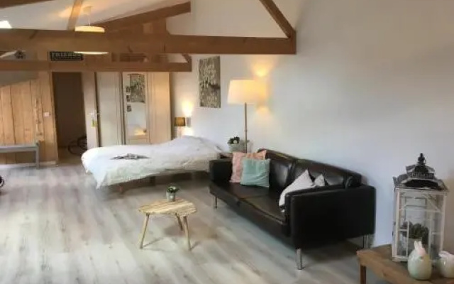 La Chicorée