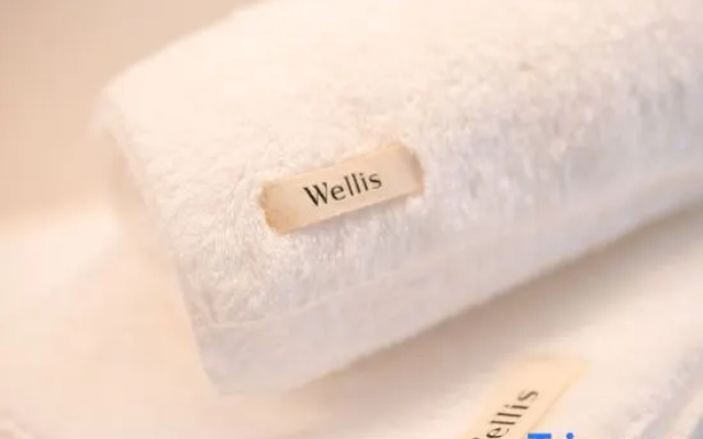 Wellis Villa HANARE