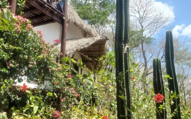 Tuani Lodge