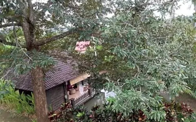 Natural Lodge 2