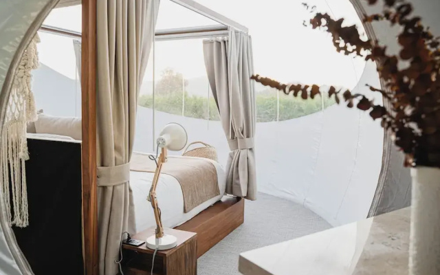 Campera Hotel Burbuja VDG