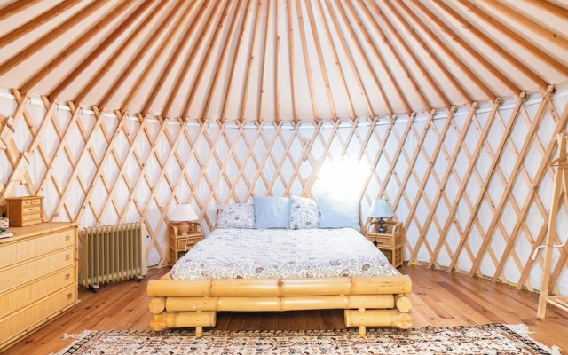Room-a Yurt Among Olive Trees and the se