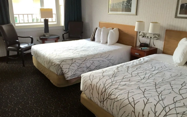 Black Mountain Inn