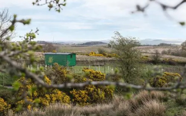 Peat Gate Shepherd's Hut