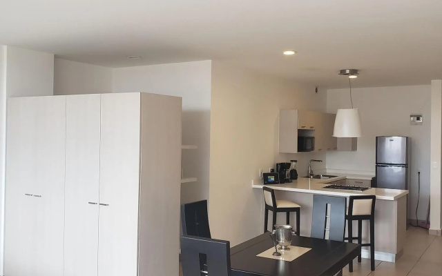 Premium Carso Alameda Luxury Lofts