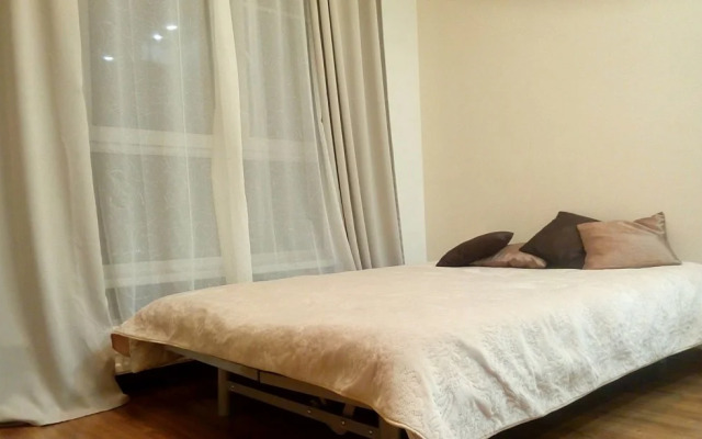 Vidovaya Kvartira Apartments