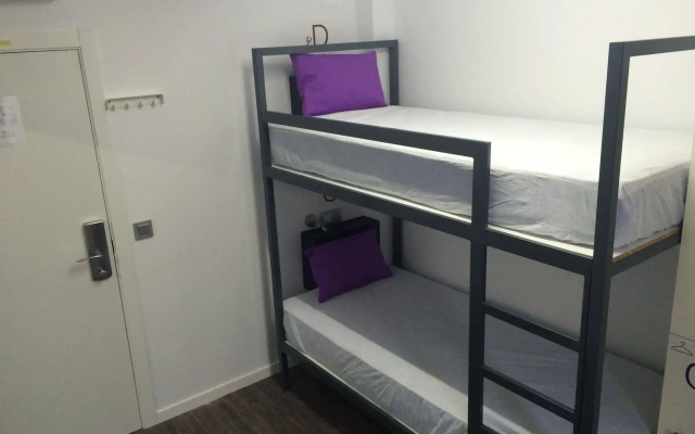 Chameleon Hostel