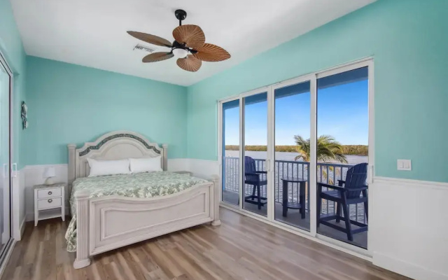 Blue Dolphin View
