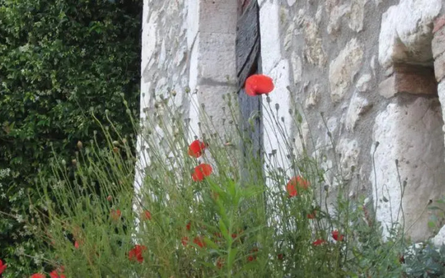La Parigina