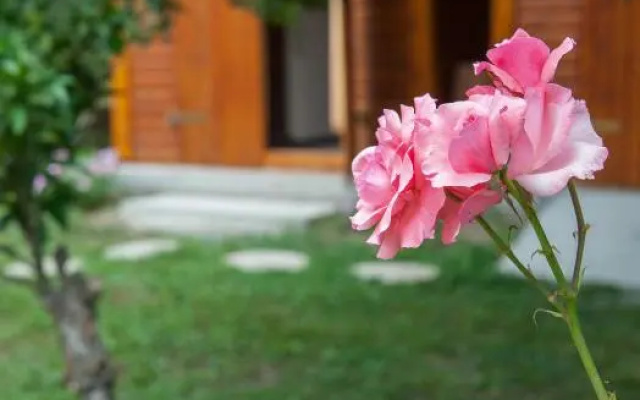 Family Holiday Apartment with garden & BBQ