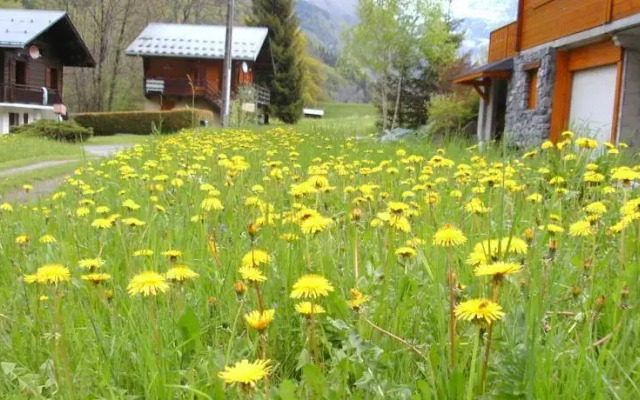 Chalet Vaia