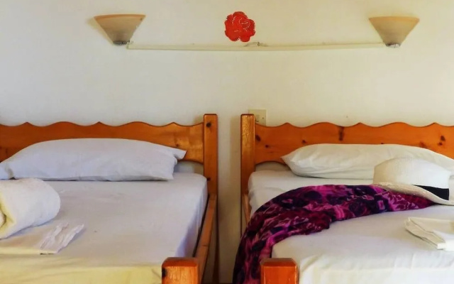 Amazing seaview studio close to the beach