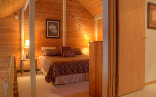 Cluster Cabins