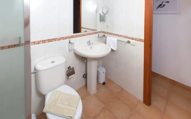 Anahi Home Drago 14