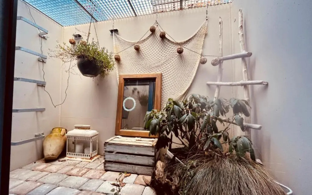 Hirschzimmer & Strandzimmer (Adults Only)