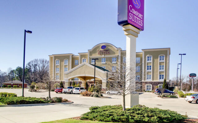 Отель Comfort Suites Vicksburg США, Виксбург - отзывы, цены и фото номеров - забронировать отель Comfort Suites Vicksburg онлайн вид на фасад