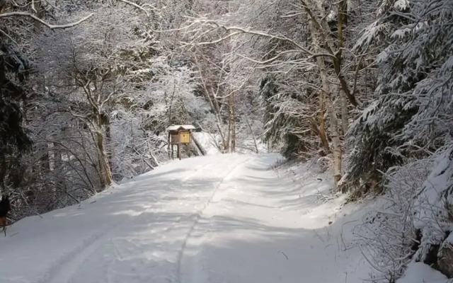 Holiday Home in Hasselfelde Near Selketalbahn