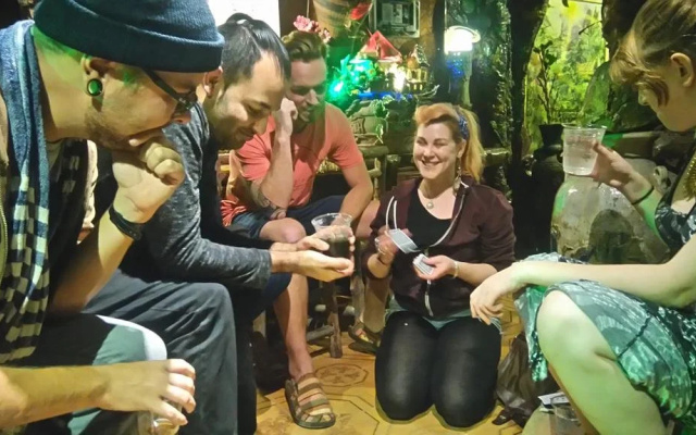 Tiny Tigers Hostel
