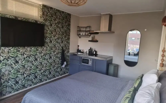 The Jungle Loft