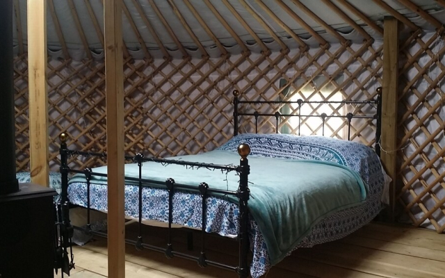 Wych Elm Glamping
