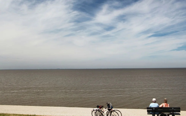 Comfy Chalet with Microwave near Wadden Sea