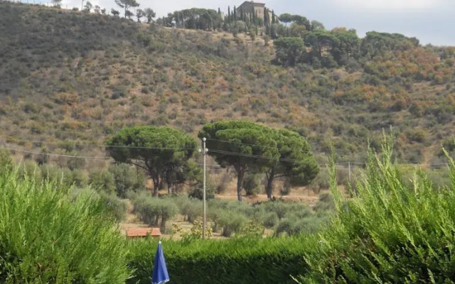 Oliveto di Teodora